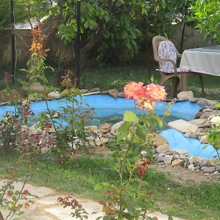 호텔 Mandarin Beach *