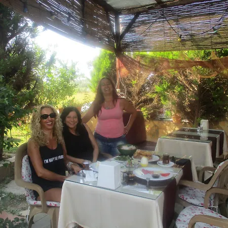 Mandarin Beach 호텔